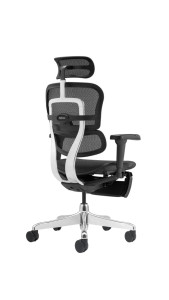 Repose-pieds fauteuil ergohuman ultra - Ronéo