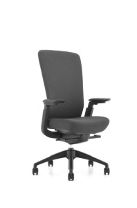 FAUTEUIL RAMSES II - RONEO