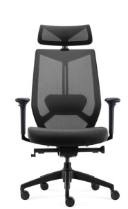 FAUTEUIL ARCO AVEC TÊTIÈRE - RONEO