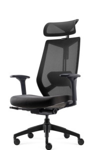 FAUTEUIL ARCO AVEC TÊTIÈRE - RONEO