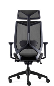 FAUTEUIL ARCO AVEC TÊTIÈRE - RONEO