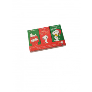 TABLETTES PEANUTS SNOOPY COFFRET X SOPHIE M