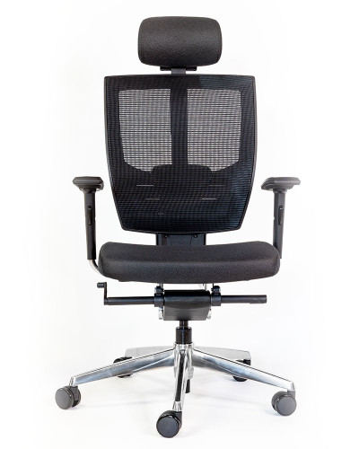 FAUTEUIL CHARLEMAGNE - RONEO