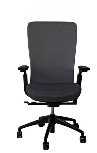 FAUTEUIL RAMSES - RONEO